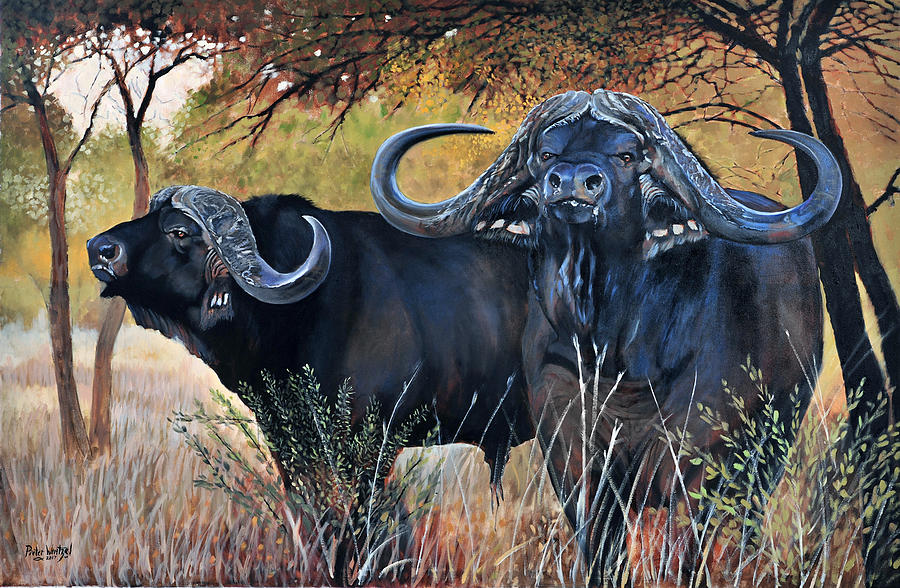 African Buffalo Painting by Pieter Wentzel