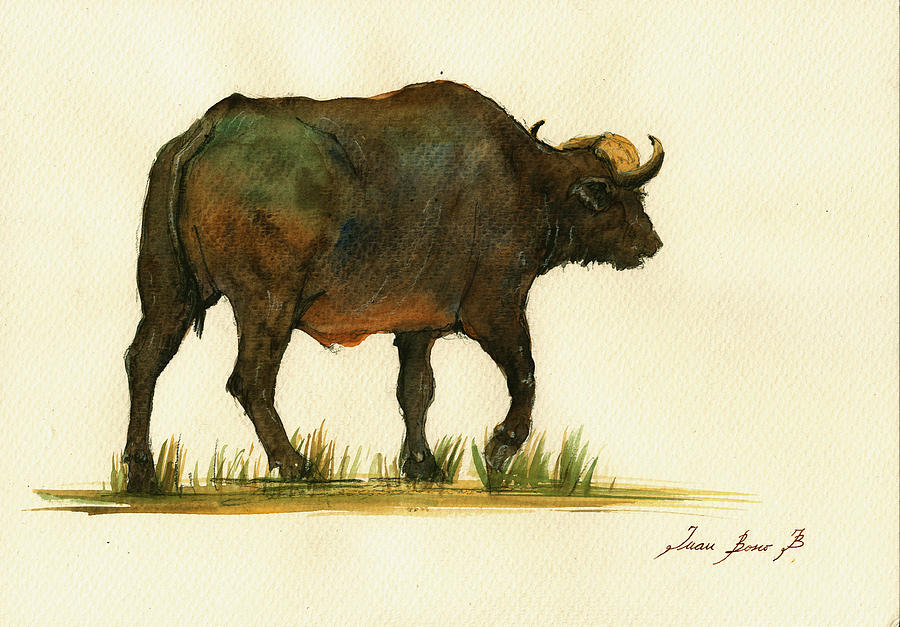 African Buffalo Painting - African buffalo watercolor painting by Juan  Bosco