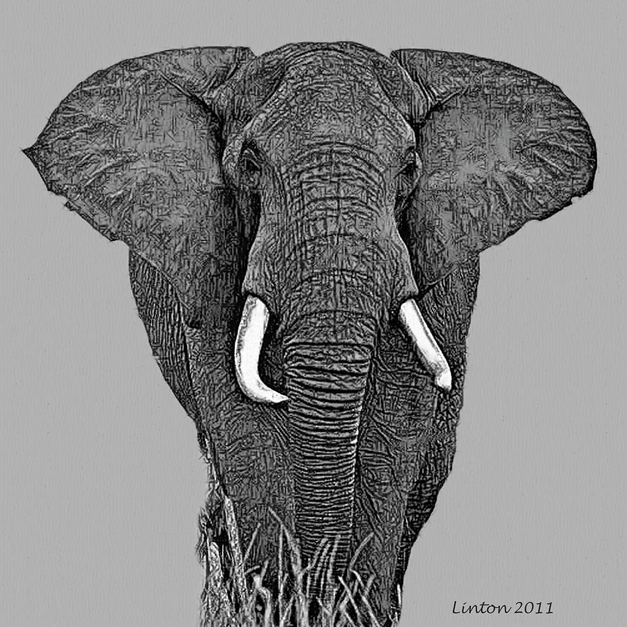 African Bull Elephant 2 Digital Art by Larry Linton