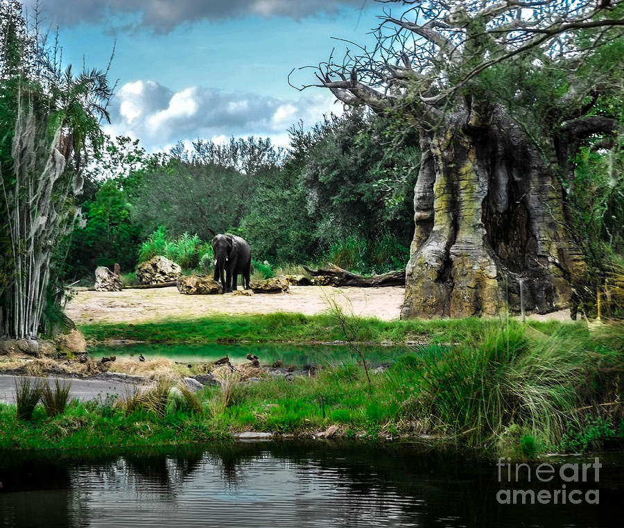 African Bush Elephant Playground Photograph by Gary Keesler
