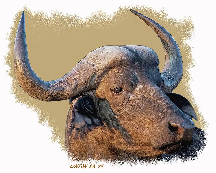 African Cape Buffalo Digital Art by Larry Linton
