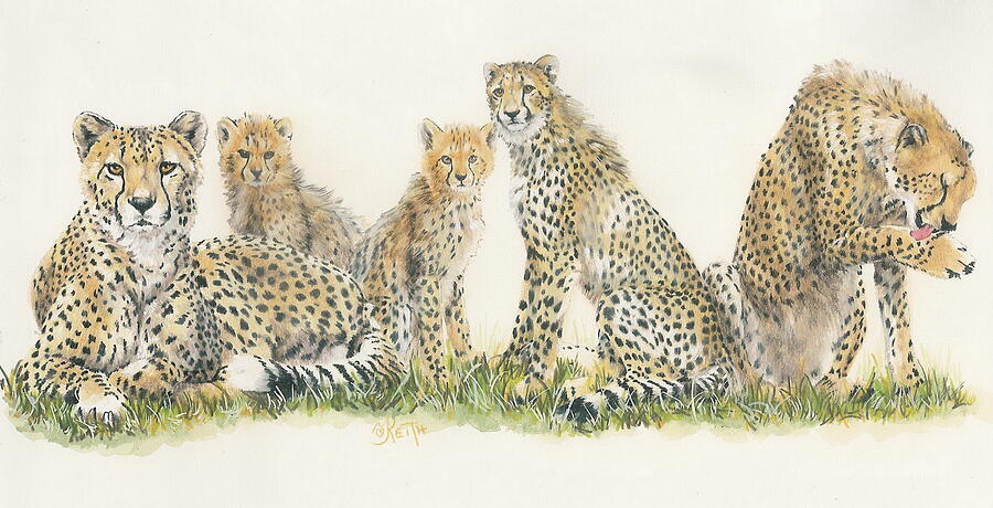African Cheetah Wrap Mixed Media by Barbara Keith