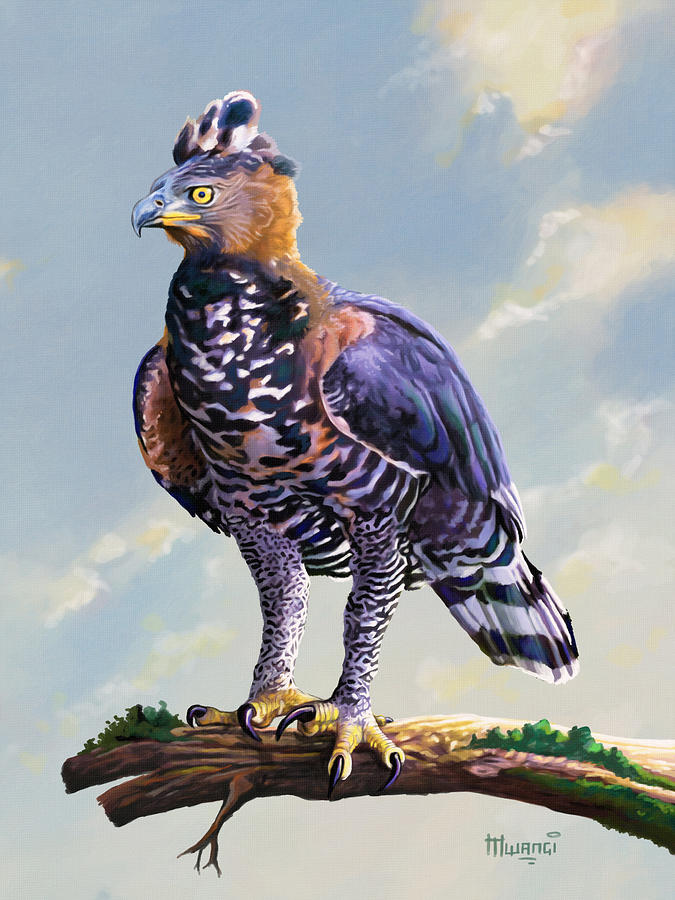 African Crowned Eagle  Painting by Anthony Mwangi