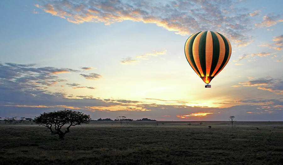 African Dawn With Hot Air Balloon Photograph by Gill Billington
