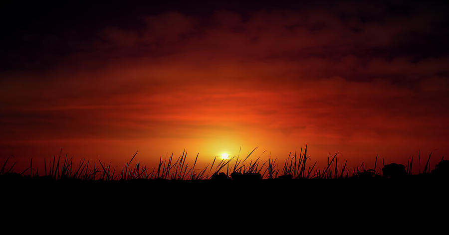 Sunset Photograph - African Dust Sunset by Mark Andrew Thomas