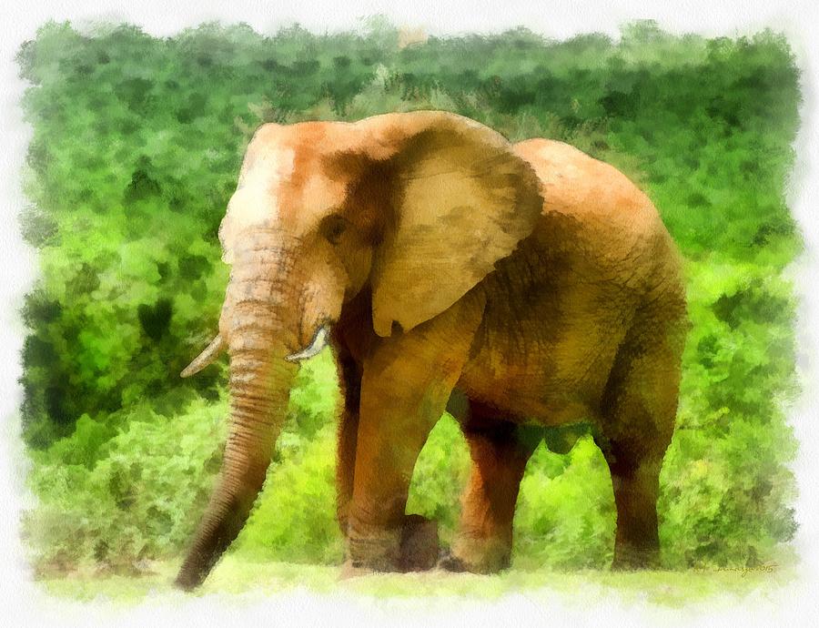 African Elephant Painting by Maciek Froncisz