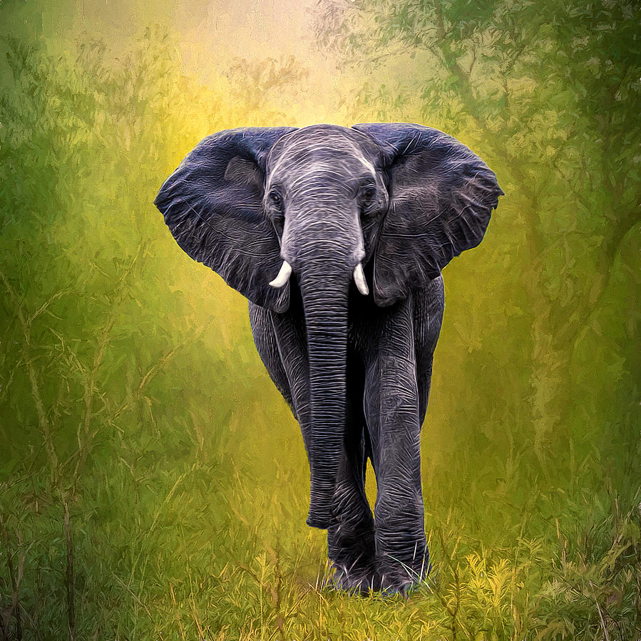 Nature Photograph - African Elephant by Maria Coulson