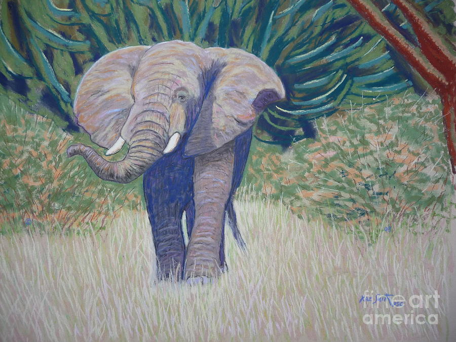 African Elephant Pastel by Rae  Smith