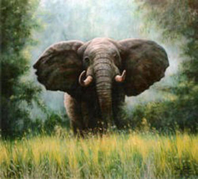 African Elephant Painting by Riek Jonker - Fine Art America