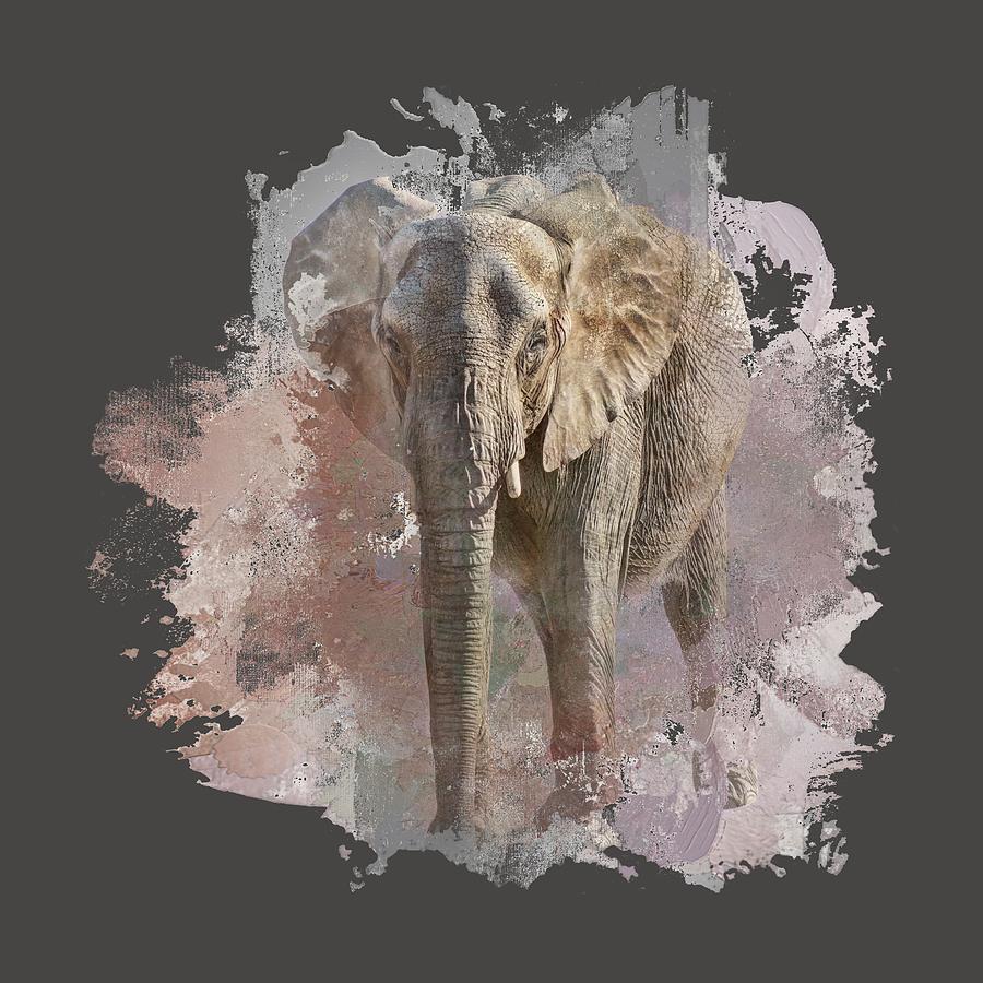 African Elephant - Transparent Photograph by Nikolyn McDonald