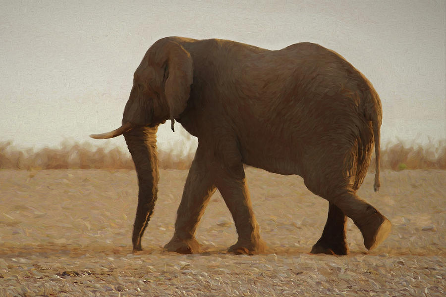 African Elephant Walk Digital Art by Ernest Echols
