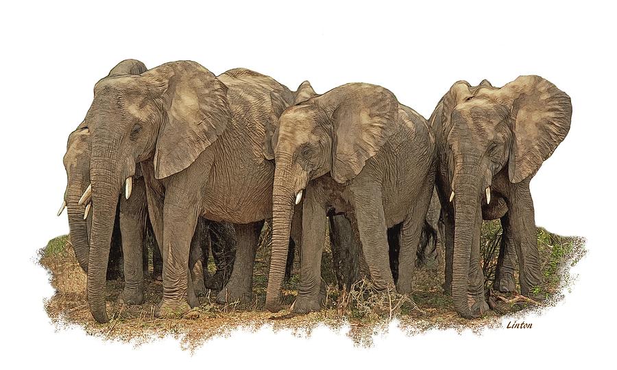 Elephant Digital Art - African Elephants 2 by Larry Linton