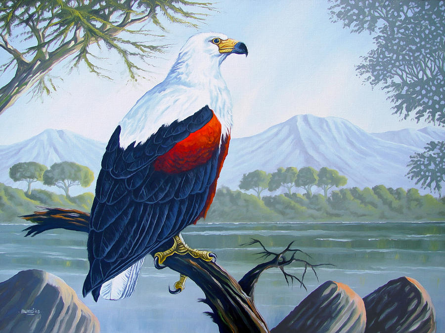 Eagle Painting - African fish Eagle by Anthony Mwangi
