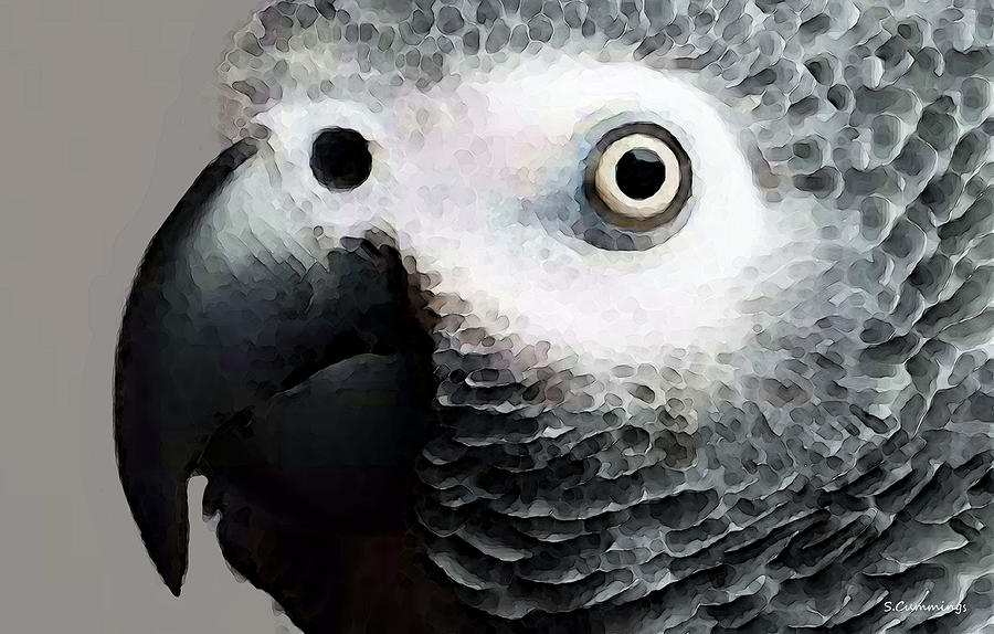 Parrot Painting - African Gray Parrot Art - Softy by Sharon Cummings