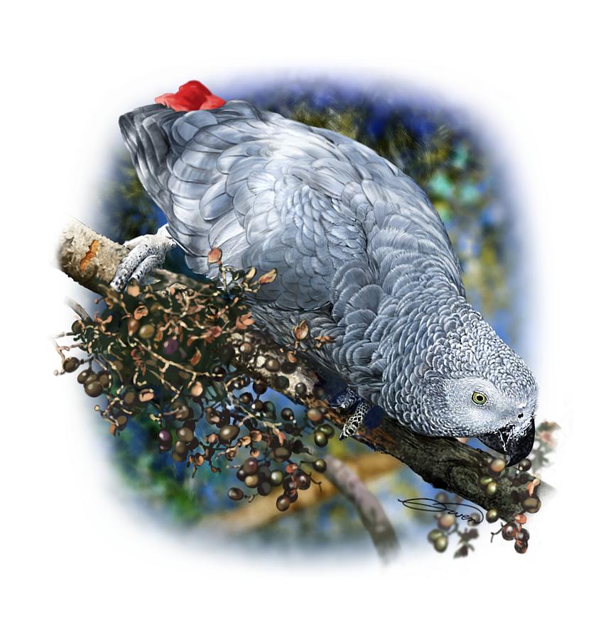 African Grey Parrot A1 Digital Art by Owen Bell