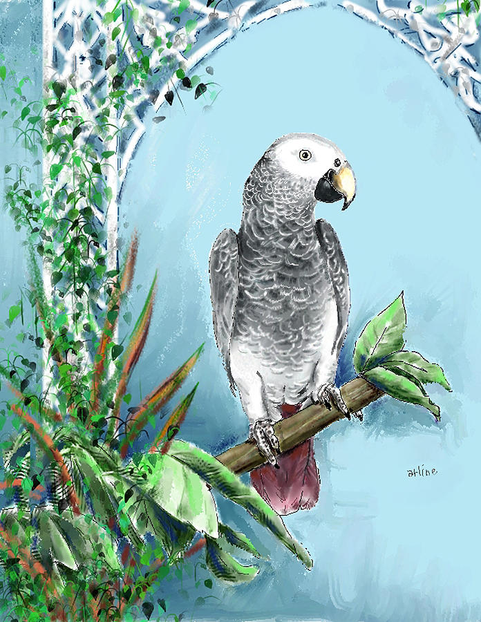 Bird Digital Art - African Grey Parrot by Arline Wagner