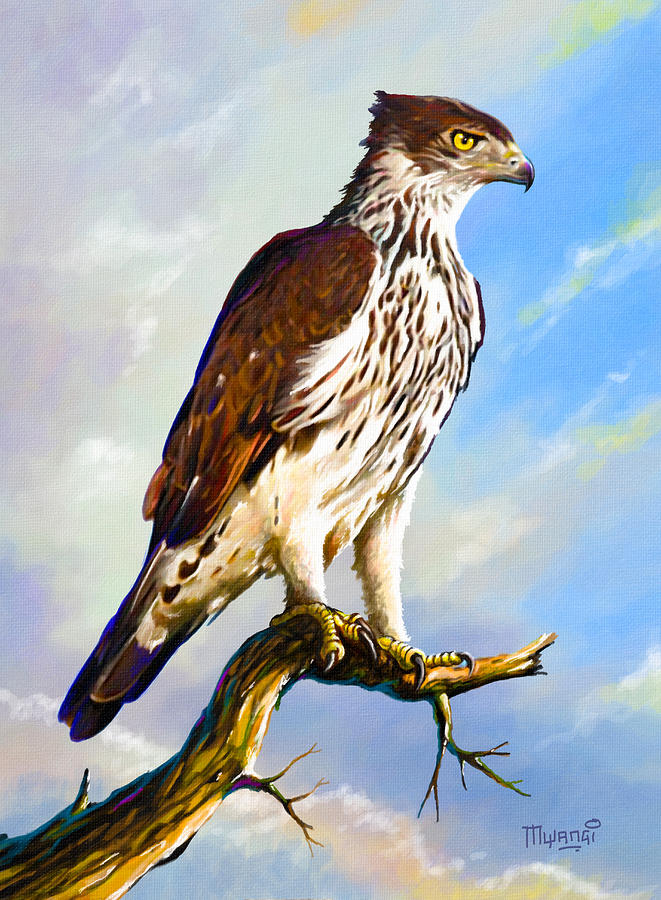 African hawk Eagle Painting by Anthony Mwangi
