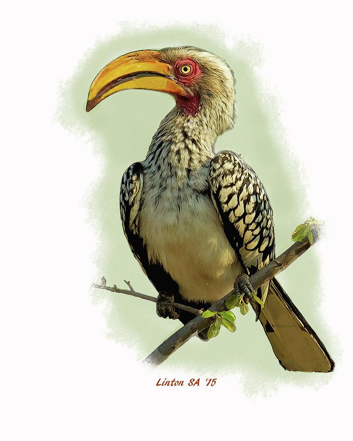 African Hornbill Digital Art by Larry Linton