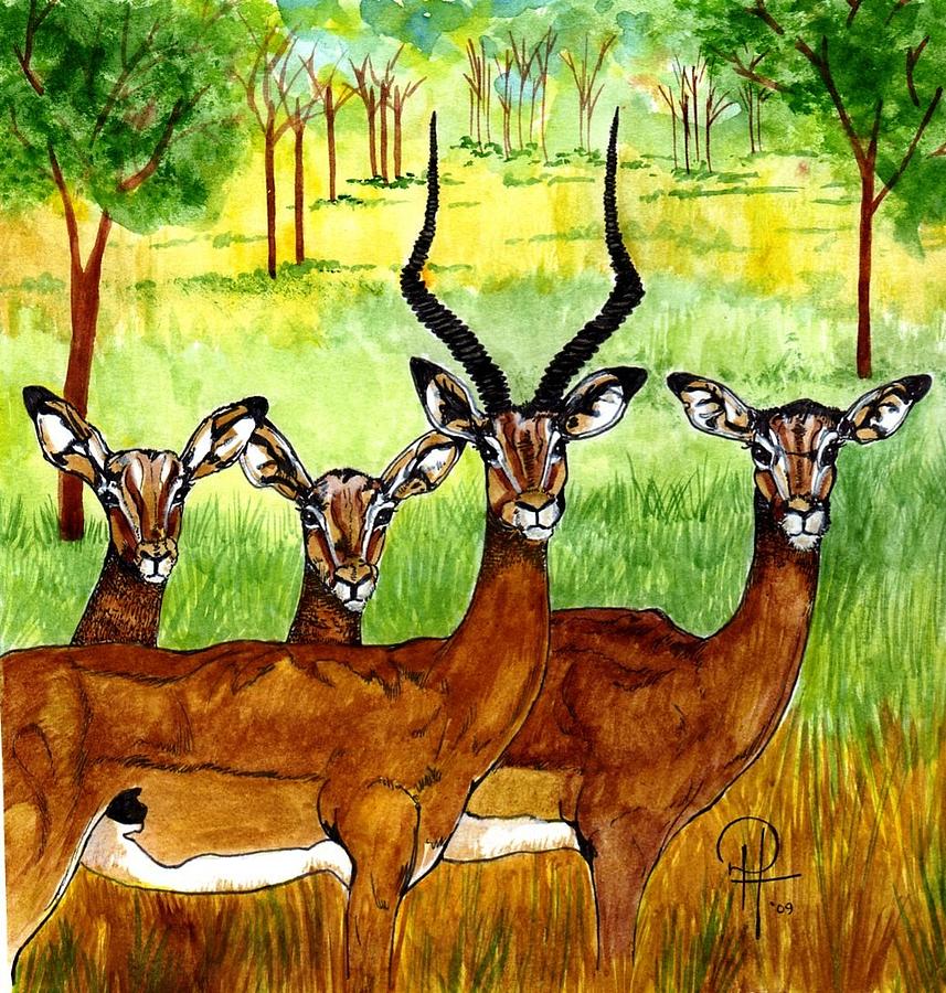 African Impala Herd Painting By Doug Hiser Fine Art America