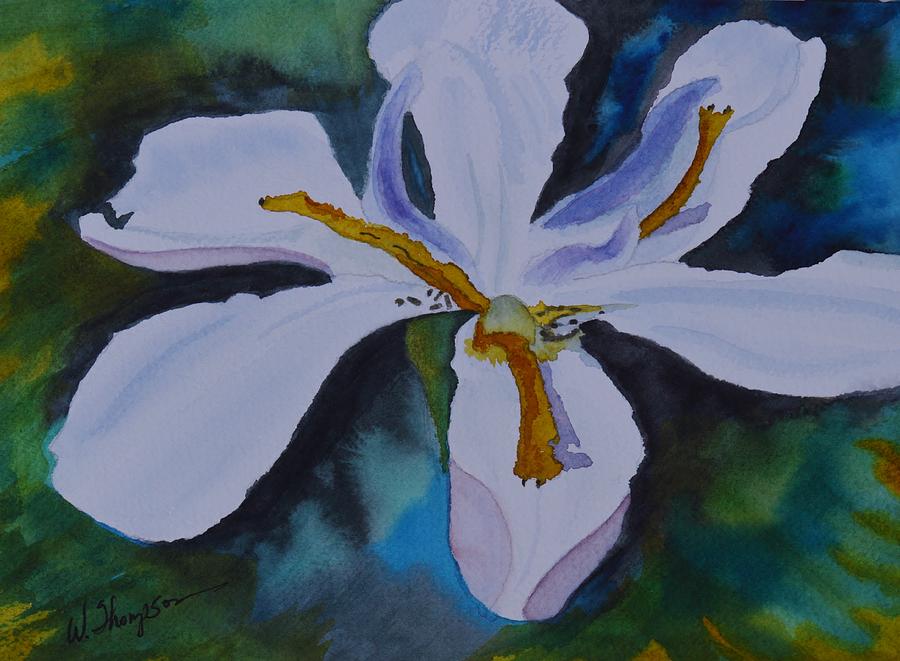 African Iris Painting by Warren Thompson