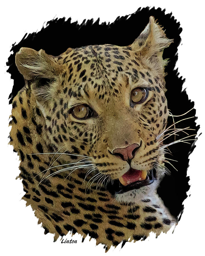 Leopard Digital Art - African Leopard Portrait by Larry Linton