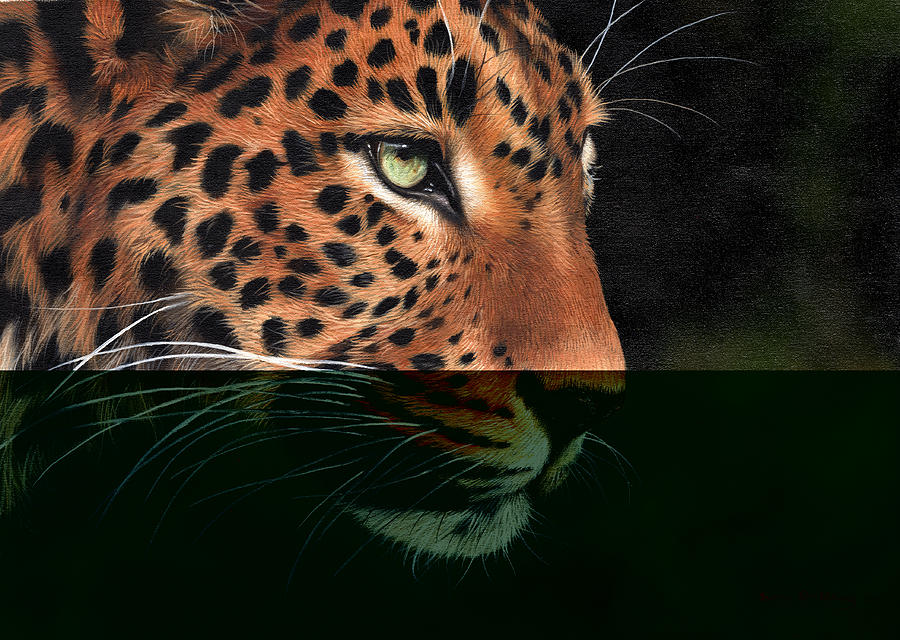 Leopard Painting - African Leopard by Sarah Stribbling Leopard Painting - African Leopard by Sarah Stribbling