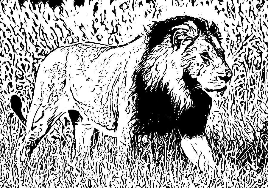 Lion Drawing Ideas ➤ How to draw a Lion