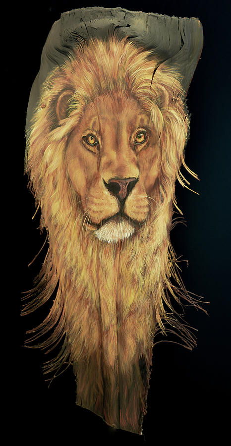 African Lion by Nancy Lauby African Lion by Nancy Lauby