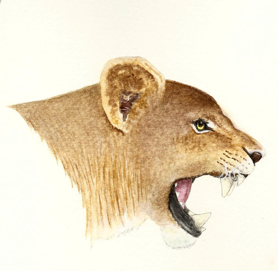 Animal Painting - African Lioness by Michael Vigliotti