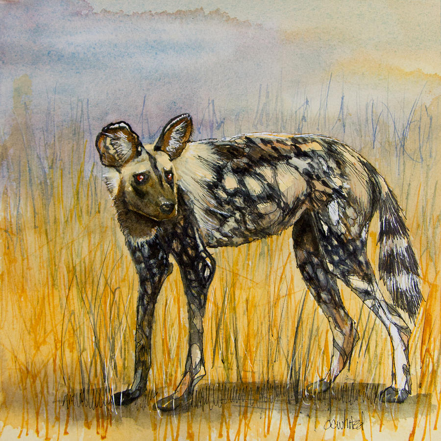 African Painted Dog Painting by Dave Whited | Fine Art America