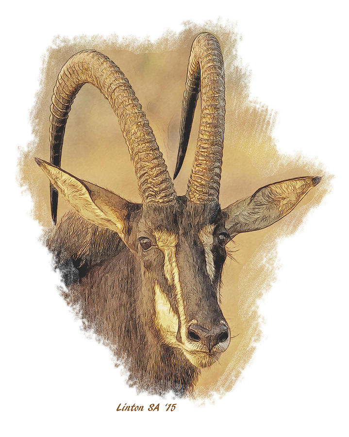African Sable Antelope Digital Art by Larry Linton