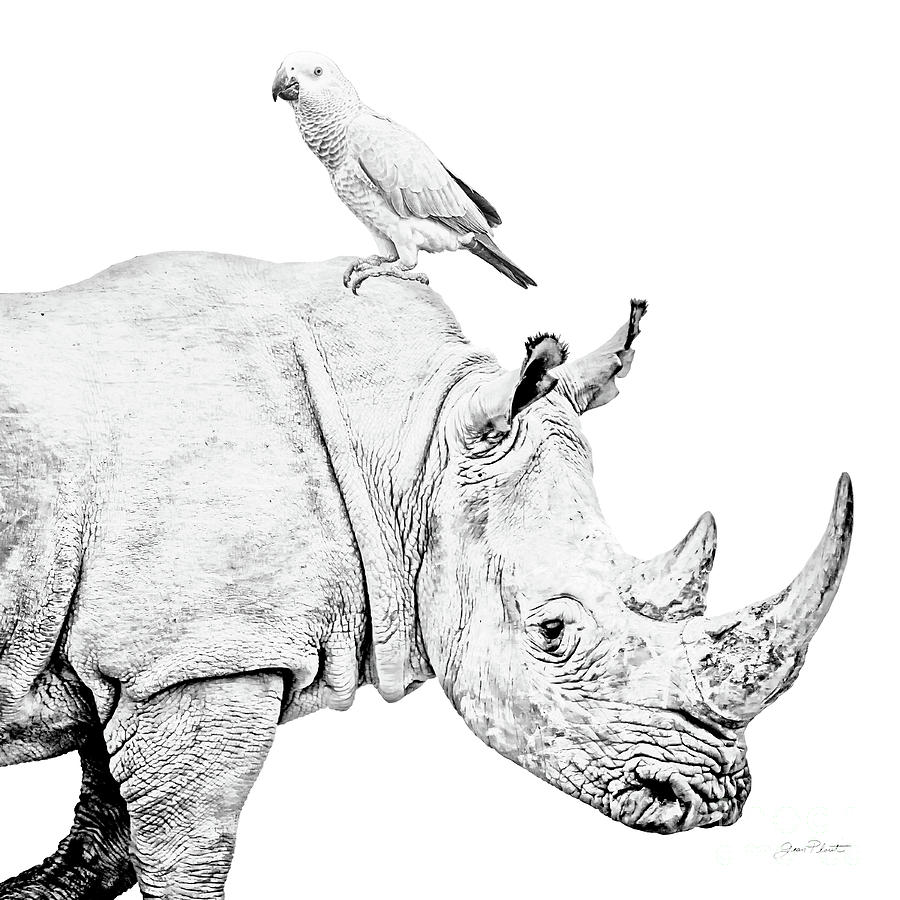 African Safari A Digital Art by Jean Plout