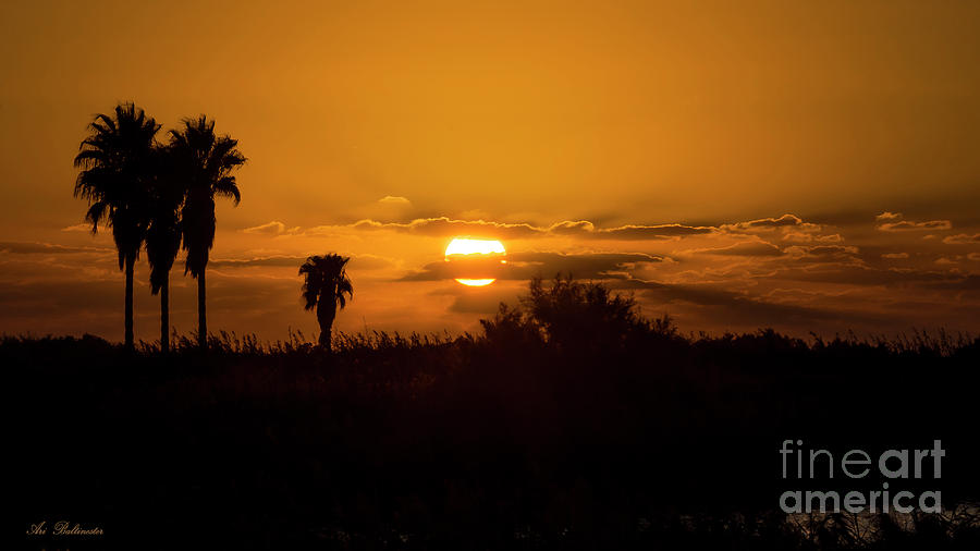  African style sunset Photograph by Arik Baltinester