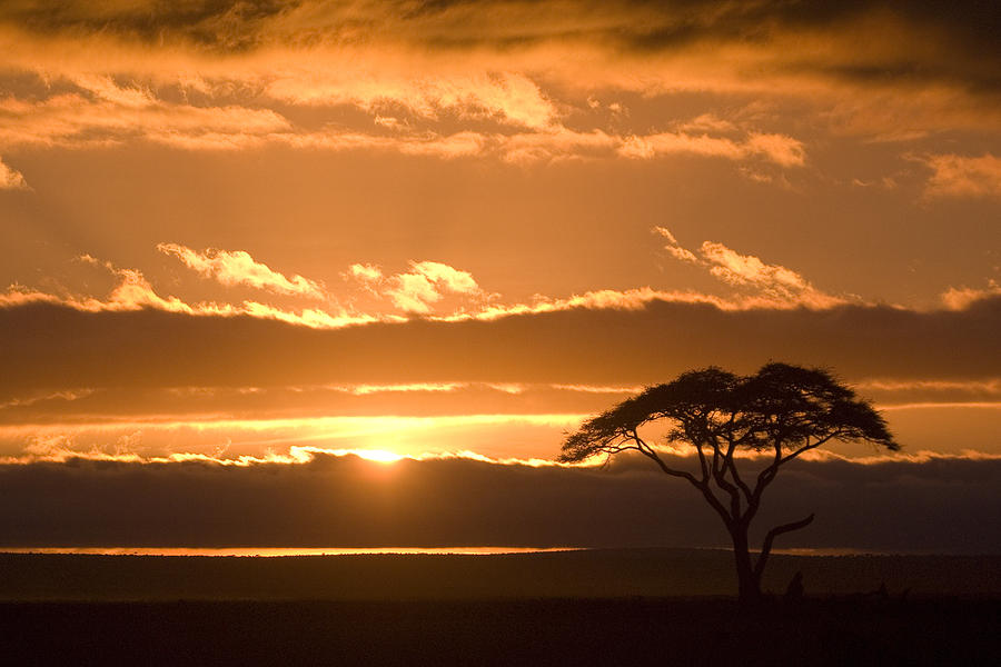 African Sunrise Photograph by Michele Burgess