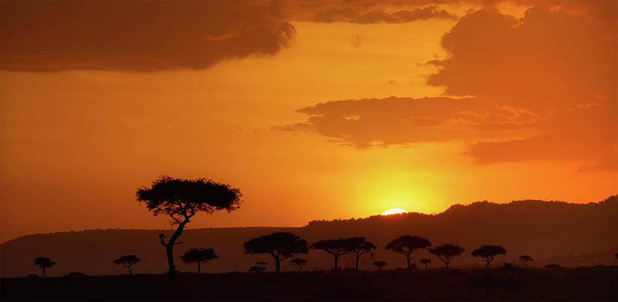 African Sunrise Photograph by Sebastian Musial