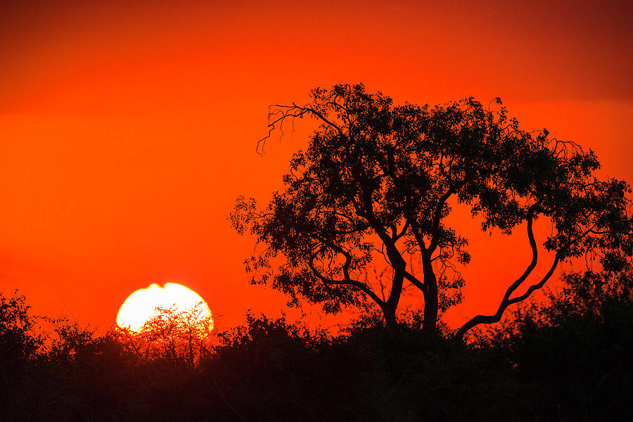 African Sunset Photograph by Fran Gallogly