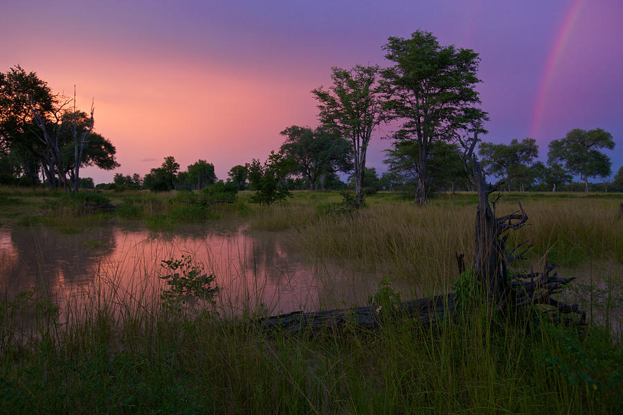 African sunset Photograph by Johan Elzenga