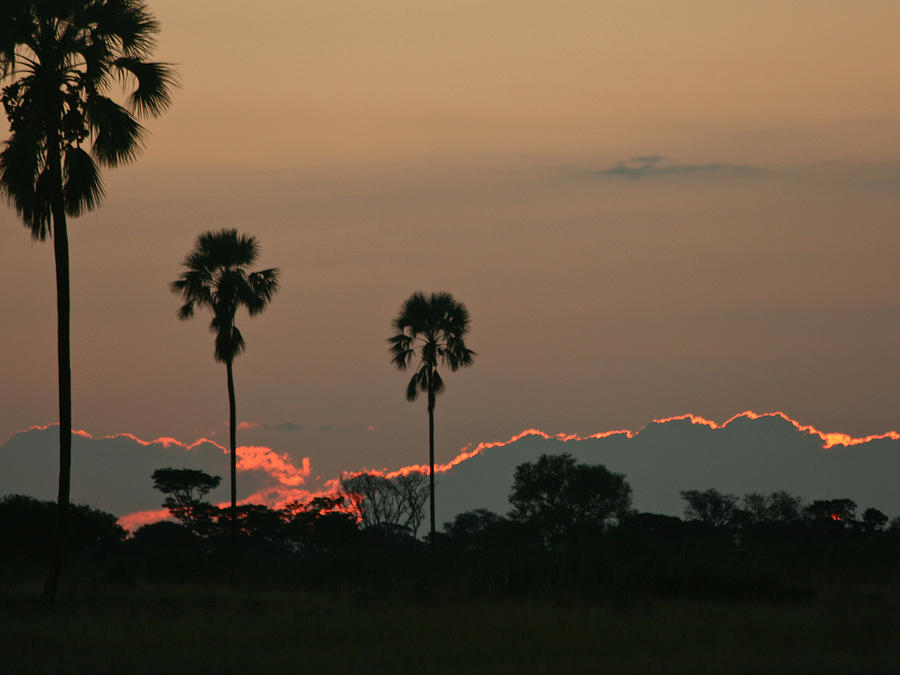 African Sunset Photograph by Karen Zuk Rosenblatt