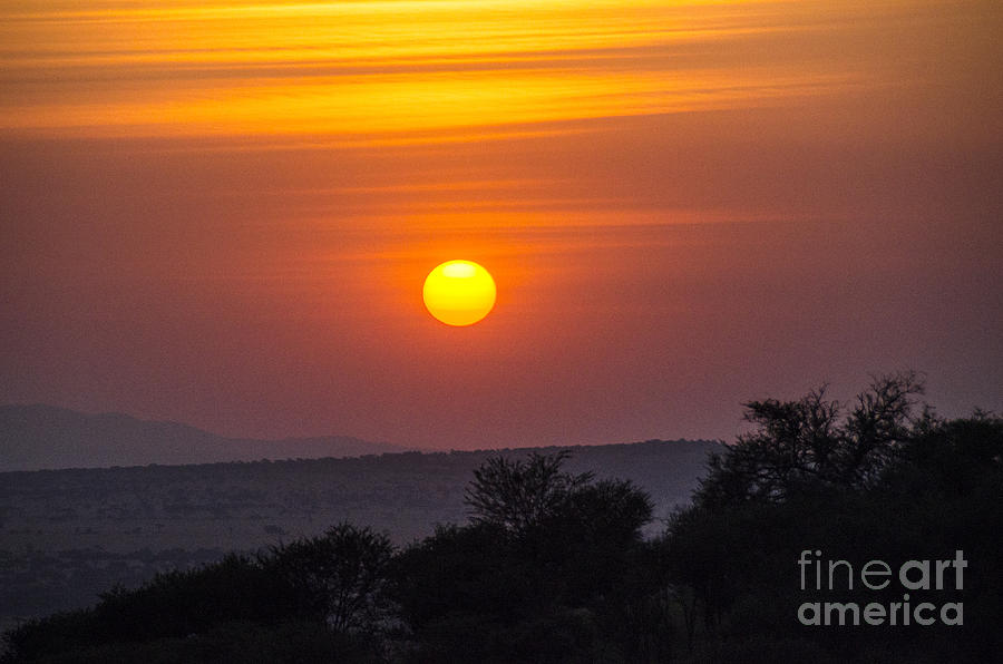 African Sunset Photograph by Pravine Chester