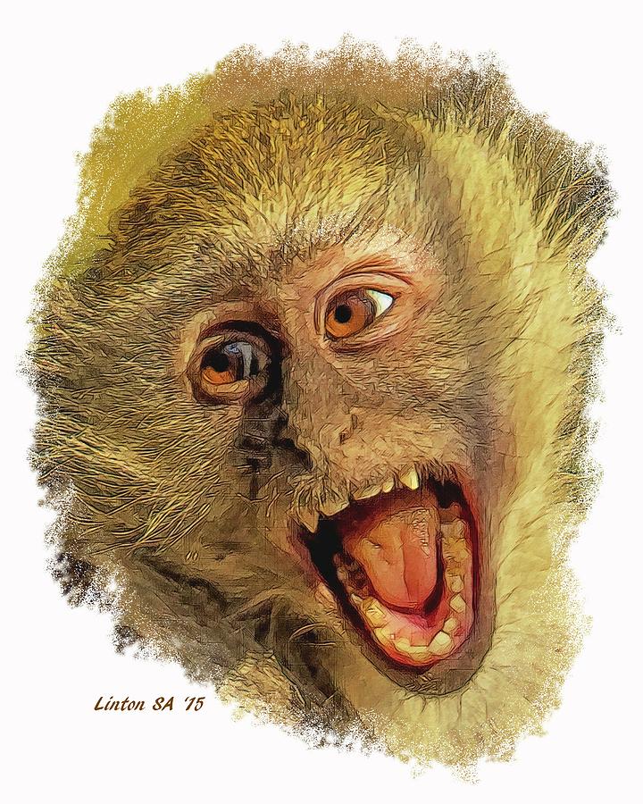 African Vervet Monkey Digital Art by Larry Linton