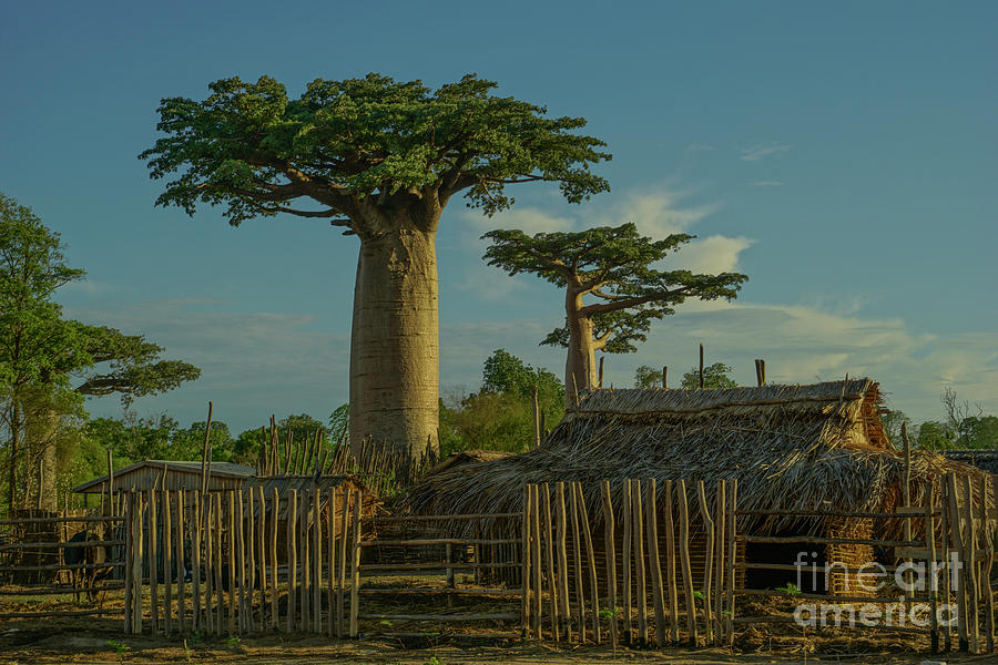 African Village Photograph by Brian Kamprath