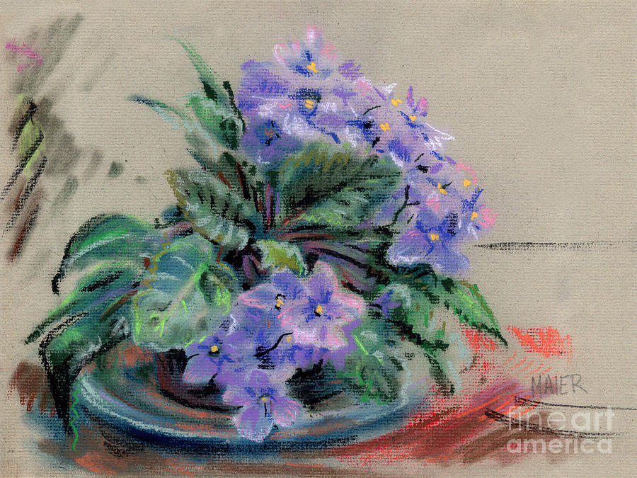 African Violets Drawing - African Violet by Donald Maier