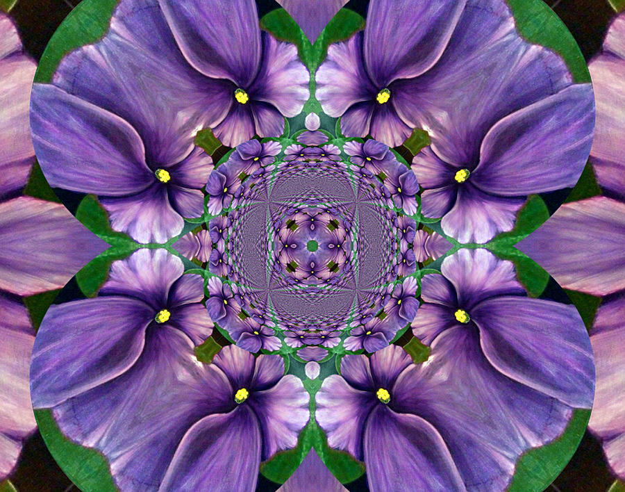 African Violet Wave Digital Art by Barbara A Griffin