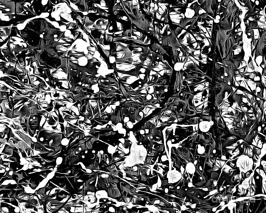 Abstract Photograph - After Pollock Black and White by Edward Fielding