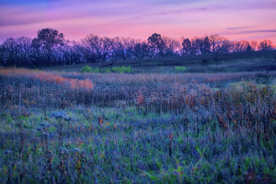 After Sunset - Blue Hour at Retzer Nature Center Photograph by Jennifer Rondinelli Reilly - Fine Art Photography