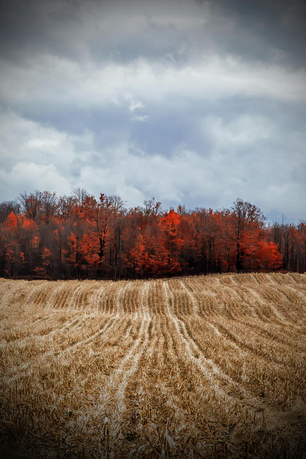 After the Harvest Photograph by Brooke T Ryan