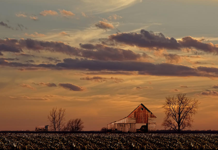 Sunset Photograph - After The Harvest by Theresa Campbell