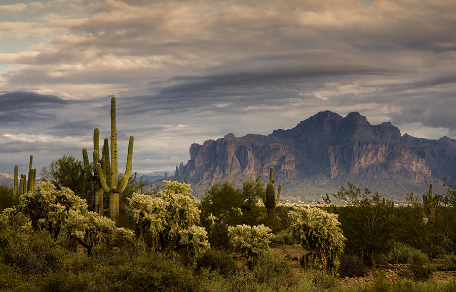 After The Rain at the Superstitions  Photograph by Saija Lehtonen