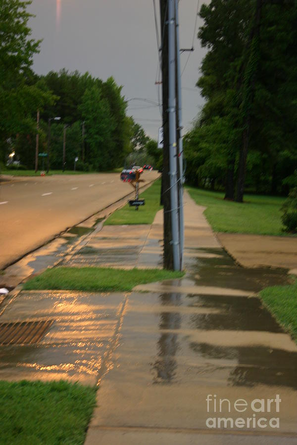 After the Rain Photograph by Beebe Barksdale-Bruner - Fine Art America