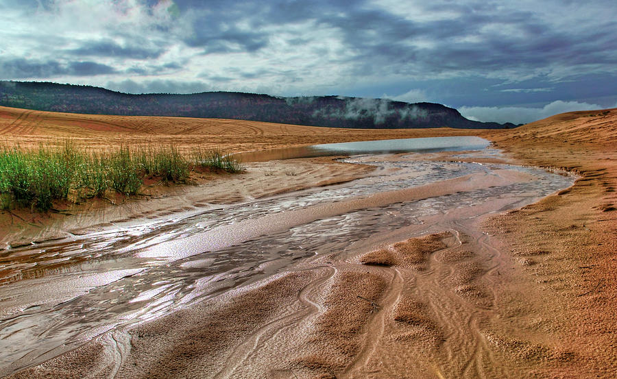 After the Rain - Coral Pink Sand Dunes - Utah Photograph by Nikolyn McDonald